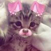 daisy_13_19