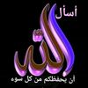 user7239800281386