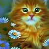 edgar.obdulio.cor