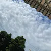 rafcio19082012