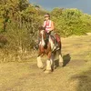 lily_and_horses_