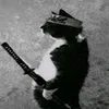 xguixw7
