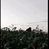 tanzzajaa0