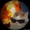hellomng040