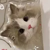 bun_n57