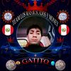 alex.gabrielito.l