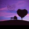 jannat.akther703