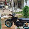 firmanjingg