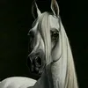 user32708417394341ayan