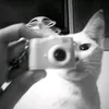 l_ich5