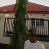 ap_andrexy609