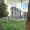 zurgio_rinii