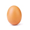 egg33808