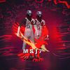 m46t6