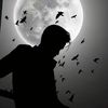 muhammadshoaib8592