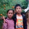vzl.anish