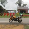 user313884681308