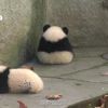 saengprateep_91