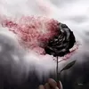 thng.hh5