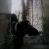 dasha20117191