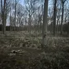 hjww88