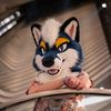apollofoxxo
