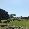fervesito01