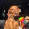 keaton_crashed