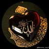 hurain.fatima352