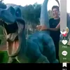 pokmon576