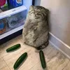 poedatelgovnatrol