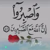 user8175620878655
