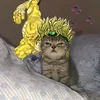 scary_monster_wryyyyyyy