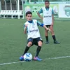 wesley33z