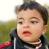 habibu70501980753