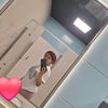 alicia.tercero5