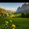 mohammed.ben.abdal4