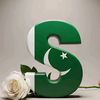 shayan.ahmad880
