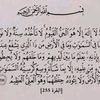 user7560270204653