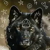 moonlight_onpawzz