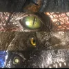 distortus_rex.jw