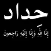 mo_dg313