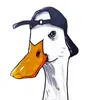 levraicanard13