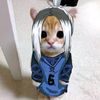 cailo_123