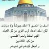 user6000976881951