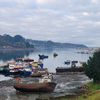 carlihos24