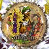 dragoyhv3ra1025