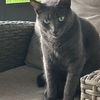 11704_linda