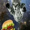 didaucungdaiduoc