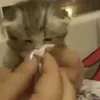 emmeohaykhok_